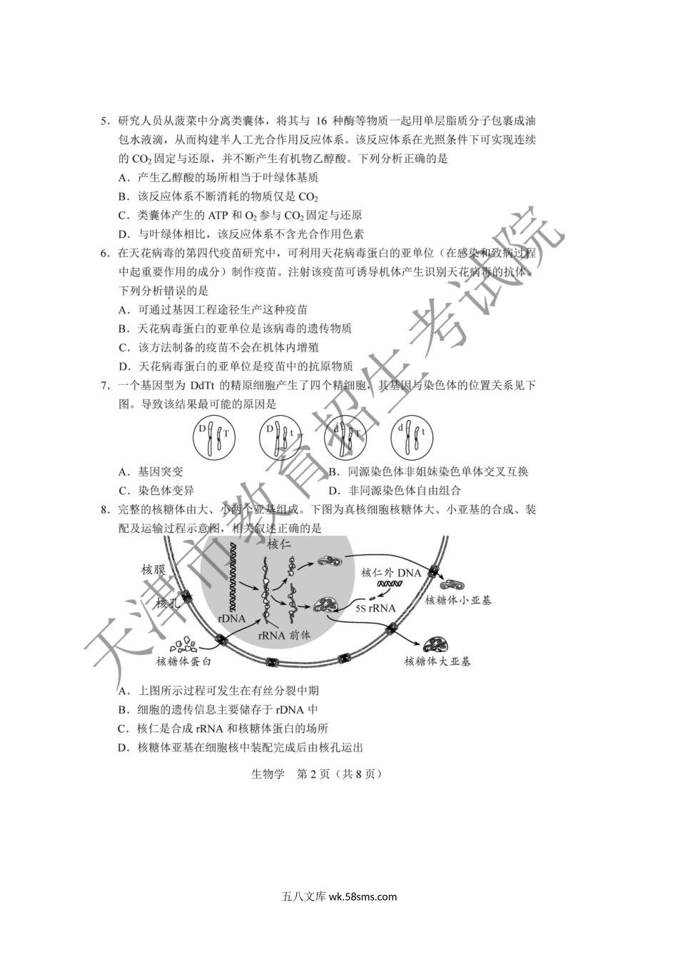 2020年天津普通高中学业水平等级性考试生物真题及答案.doc_第2页