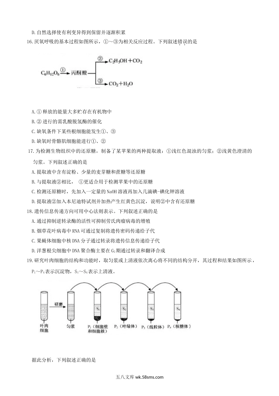 2020年浙江普通高中会考生物真题及答案.doc_第3页