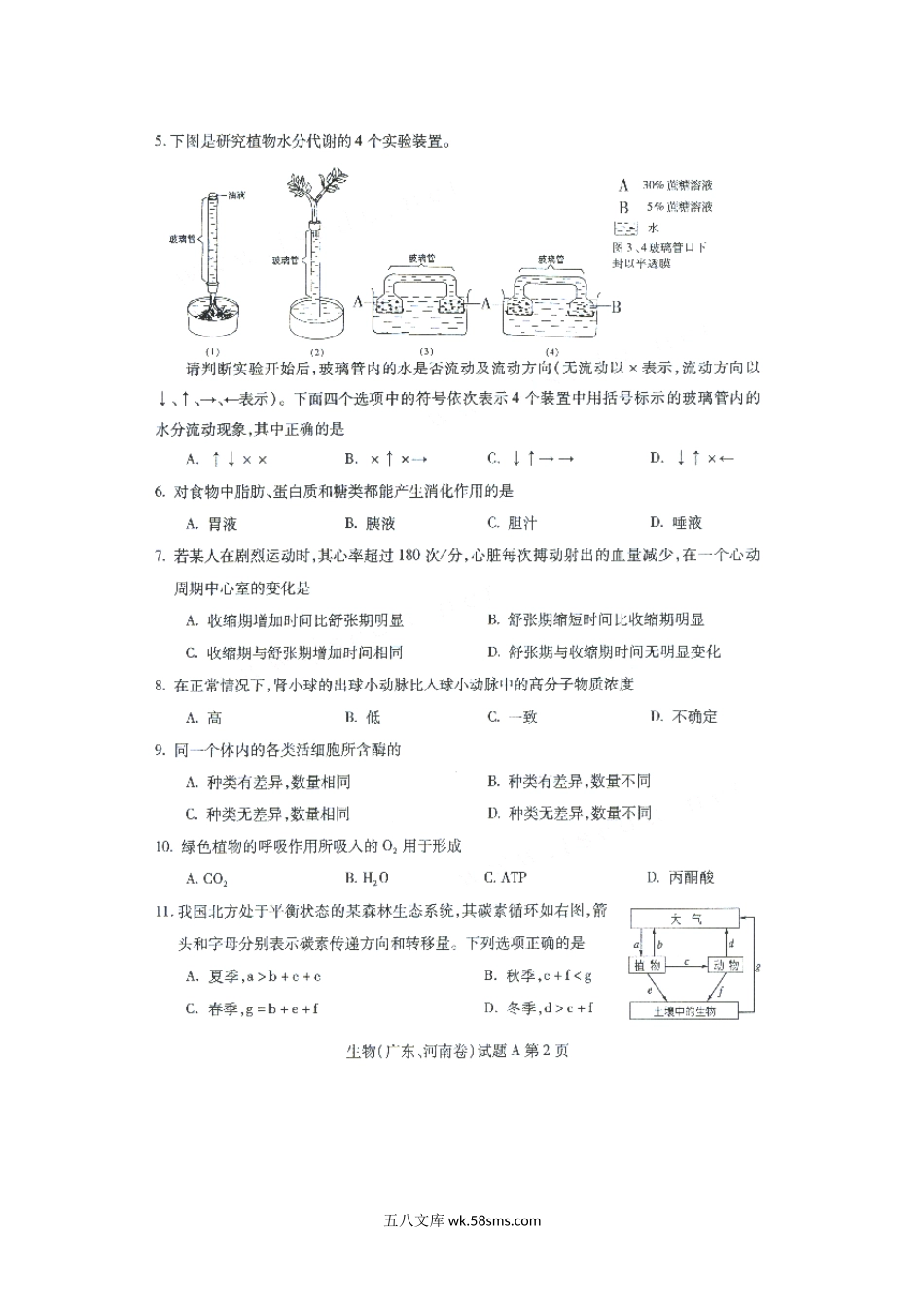 2001年广东高考生物真题及答案.doc_第2页