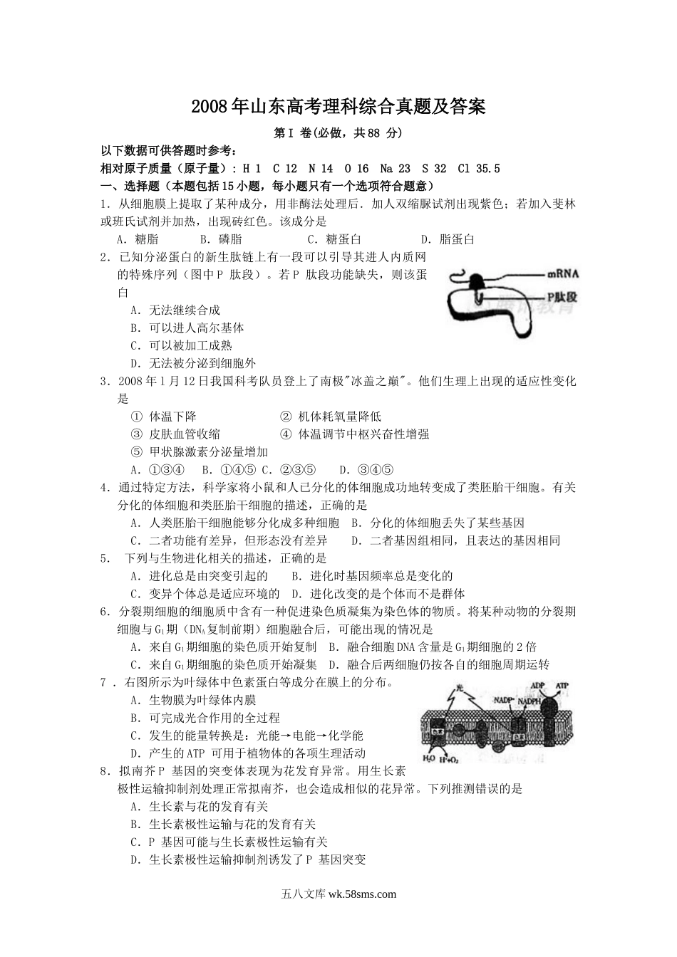 2008年山东高考理科综合真题及答案.doc_第1页