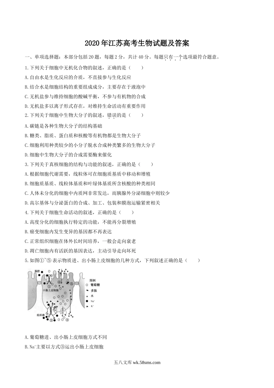 2020年江苏高考生物试题及答案.doc_第1页