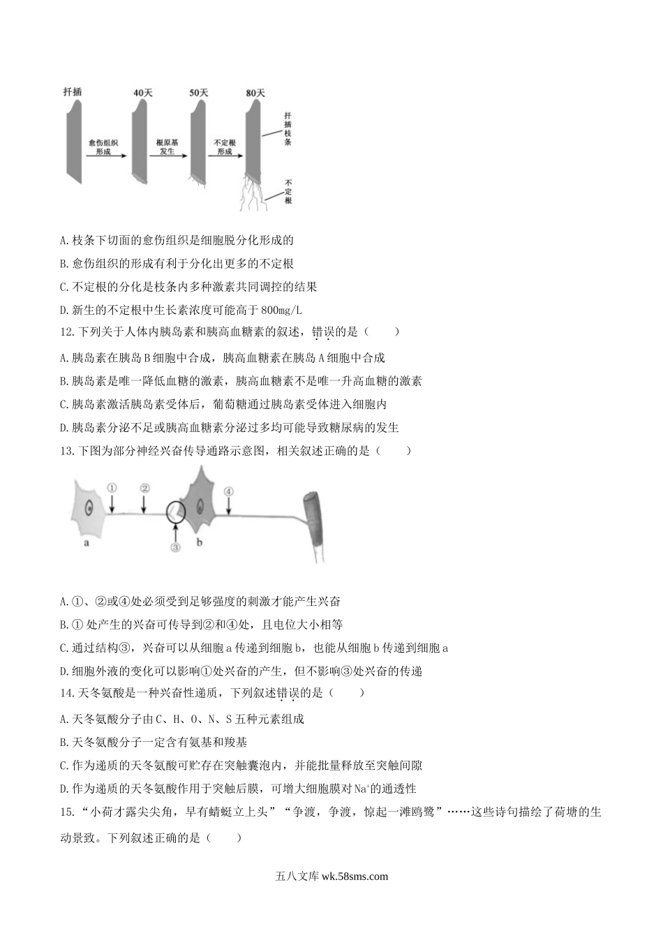 2020年江苏高考生物试题及答案.doc_第3页