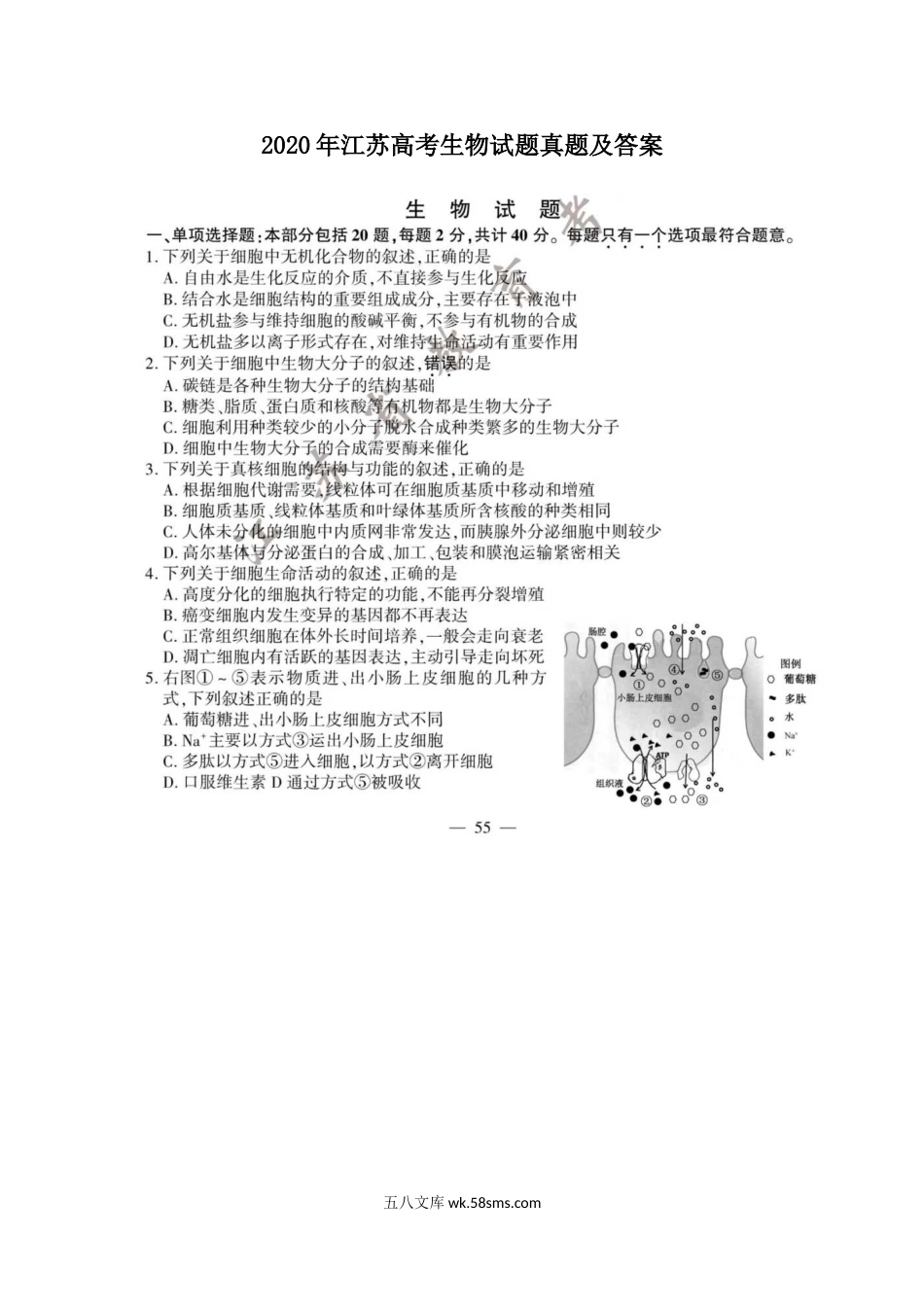 2020年江苏高考生物试题真题及答案.doc_第1页