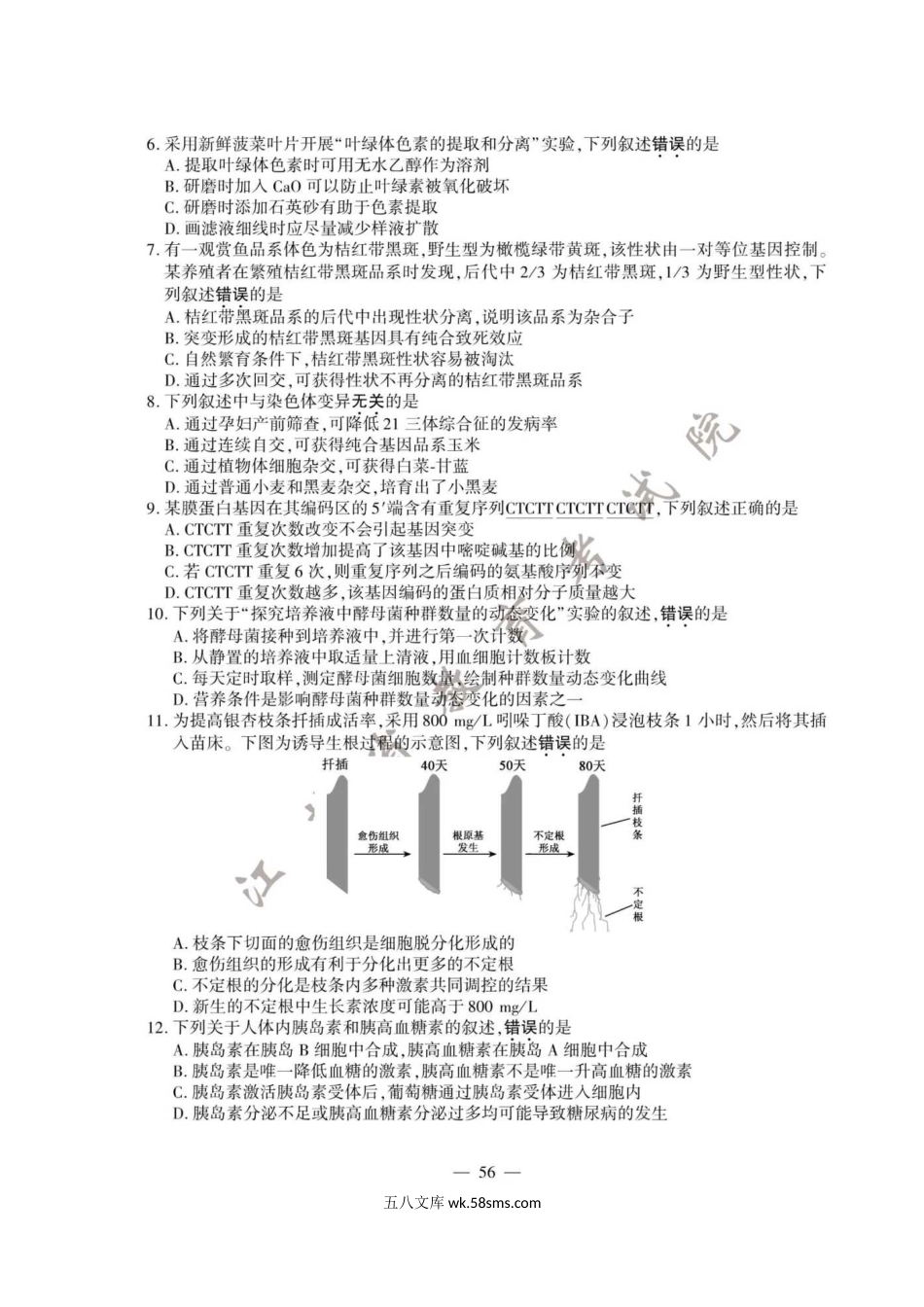 2020年江苏高考生物试题真题及答案.doc_第2页