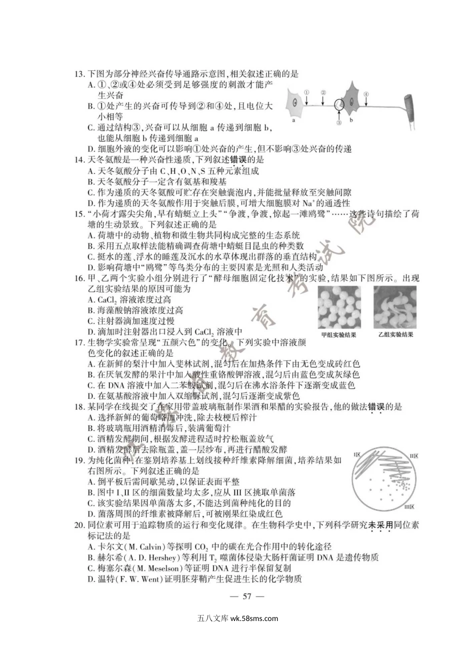 2020年江苏高考生物试题真题及答案.doc_第3页