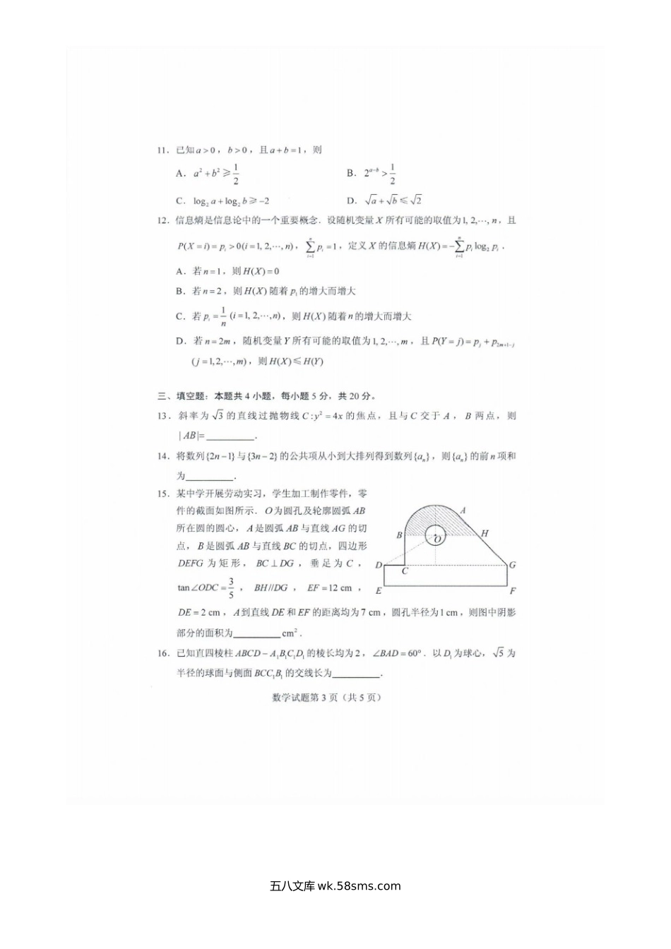 2020年全国新高考I数学试题真题及答案.doc_第3页