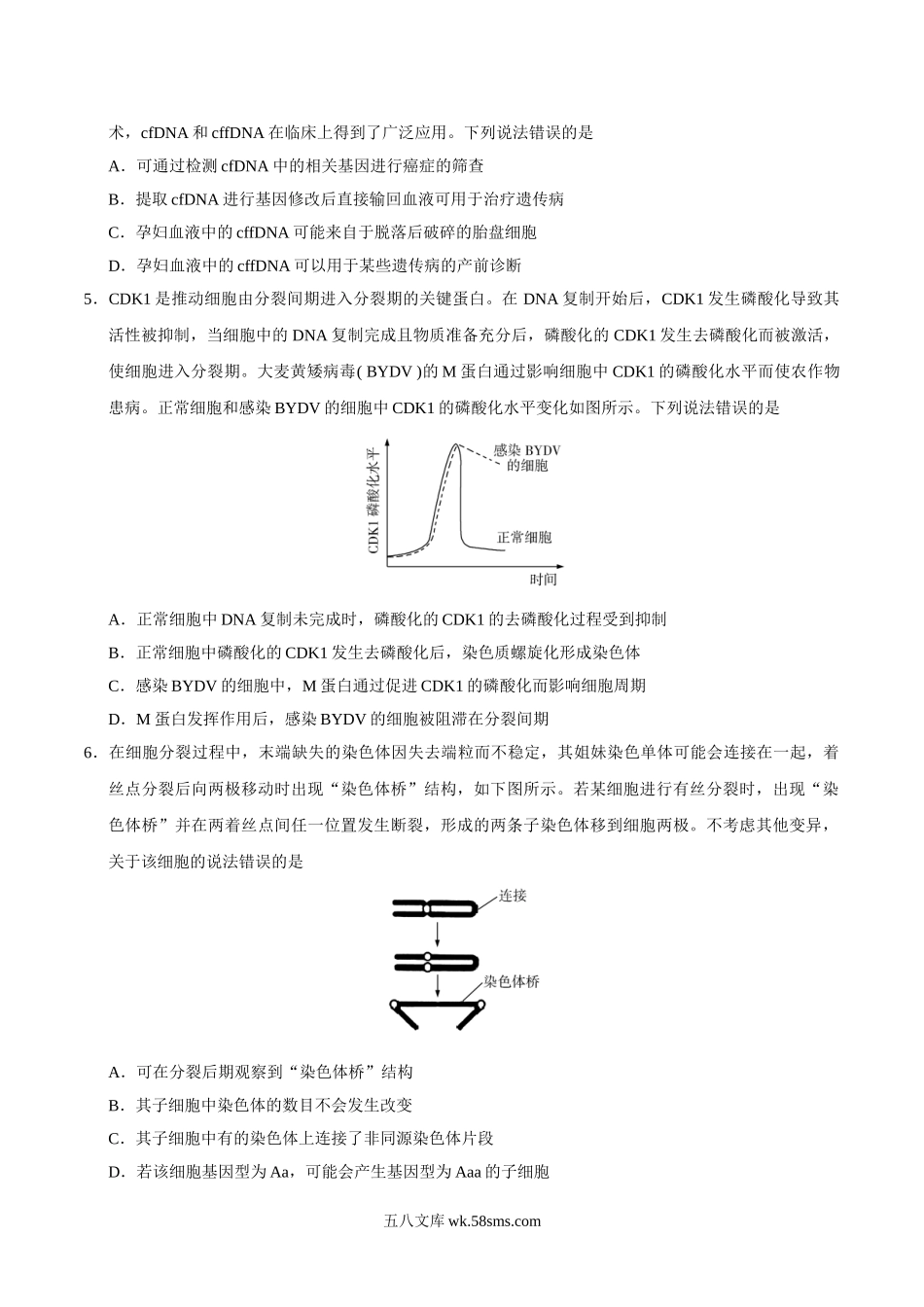 2020年山东高考生物试题及答案.doc_第2页