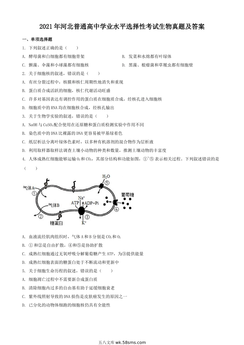 2021年河北普通高中学业水平选择性考试生物真题及答案.doc_第1页