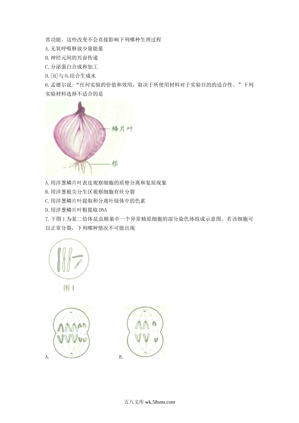 2021年天津普通高中学业水平等级考试生物真题及答案.doc_第2页