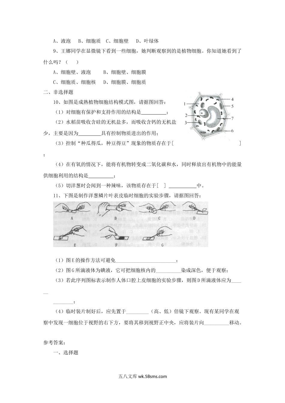 七年级上册生物第二单元第一章第二节试卷及答案.doc_第2页