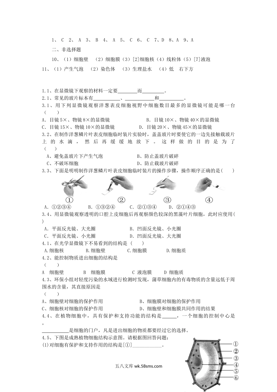 七年级上册生物第二单元第一章第二节试卷及答案.doc_第3页