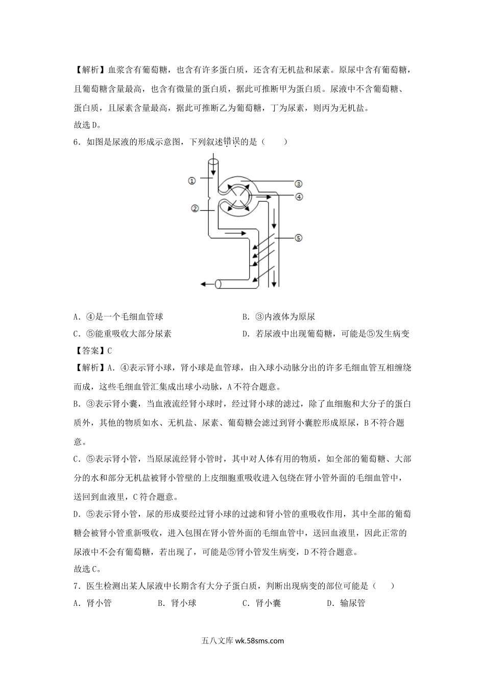 2021-2022学年七年级下册生物第五章试卷及答案人教版.doc_第3页