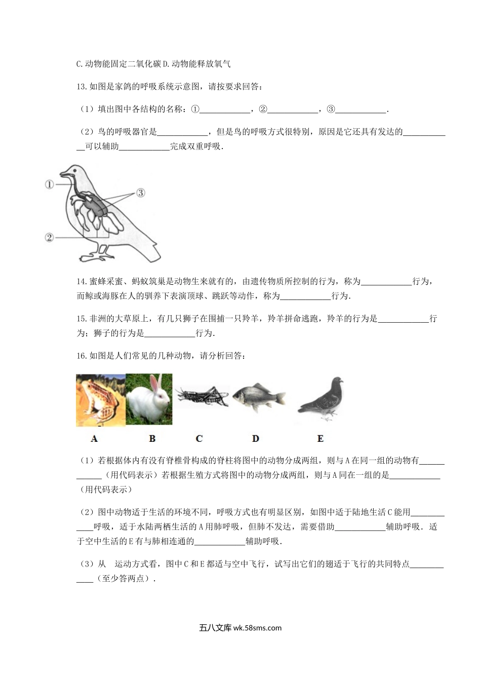 2020-2021学年湖北省黄冈市红安县八年级上学期期中生物试题及答案.doc_第3页