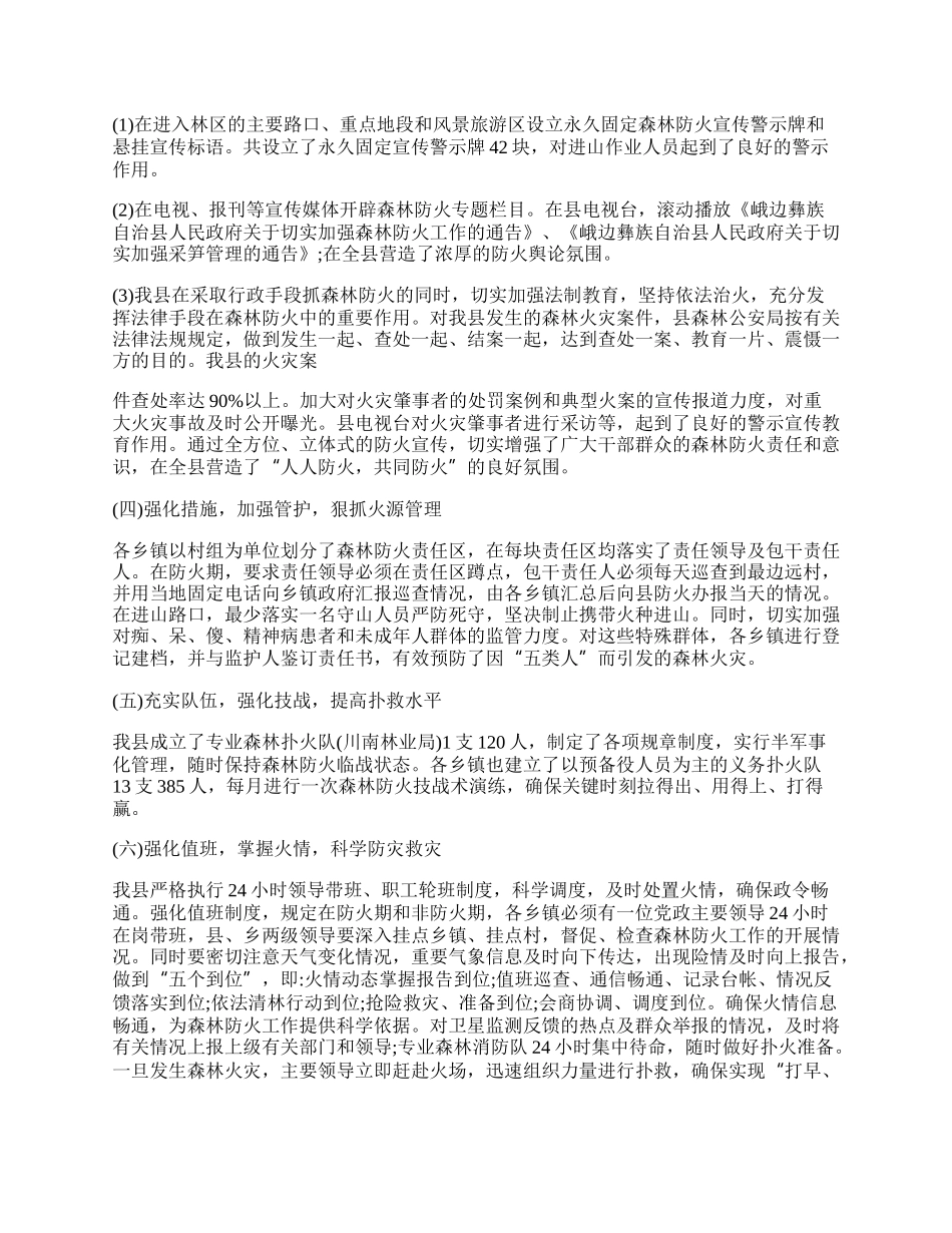 森林防火巡逻防控工作总结.docx_第2页