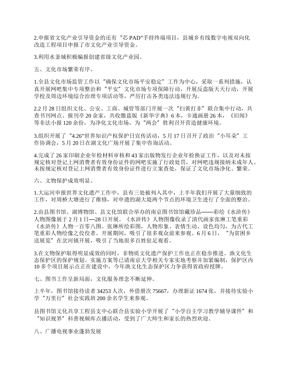 文广新局半年工作总结及下年工作计划.docx_第2页