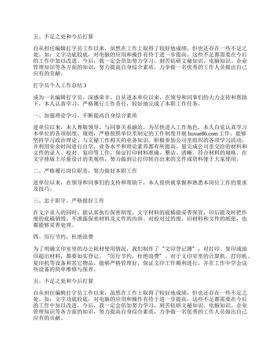 打字员个人工作总结.docx_第3页