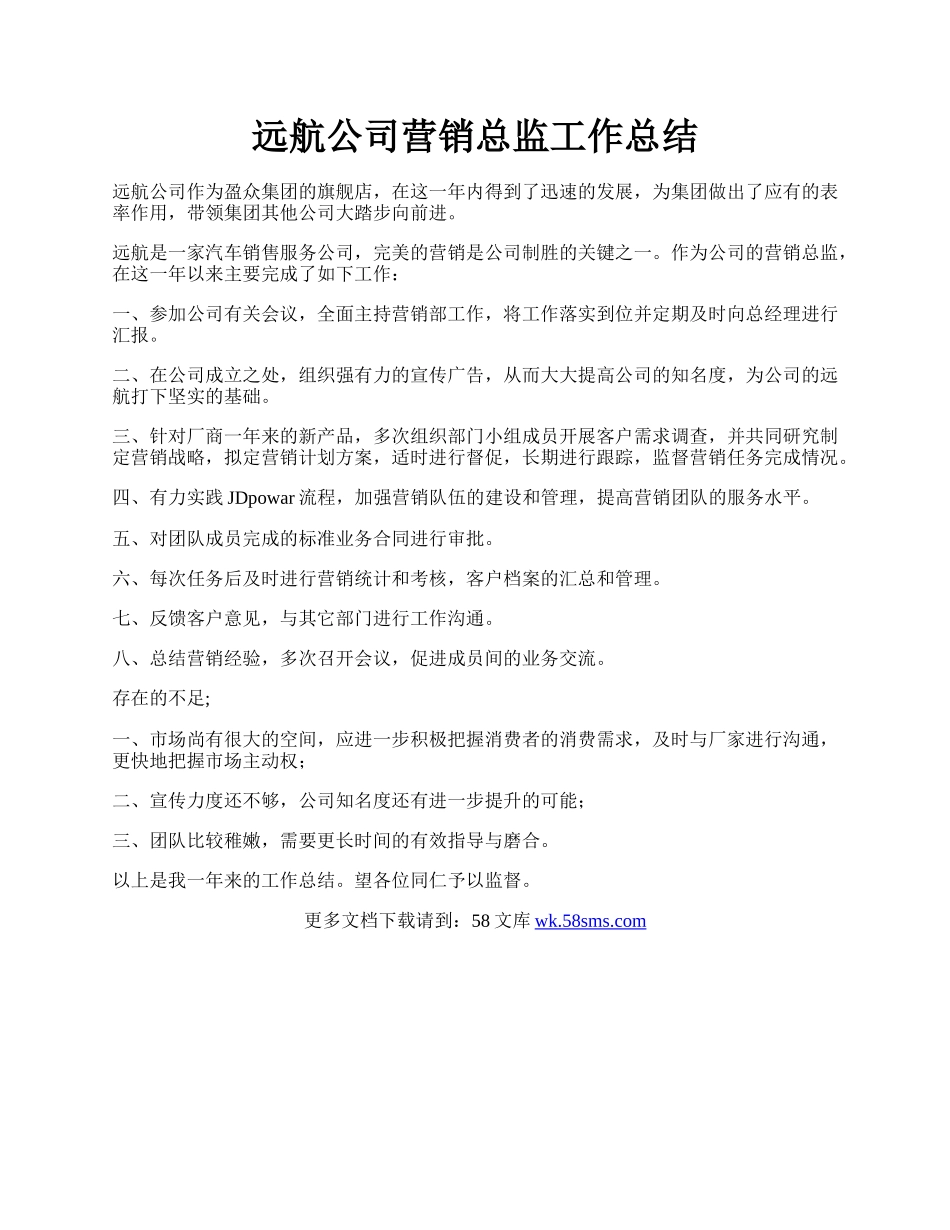 远航公司营销总监工作总结.docx_第1页