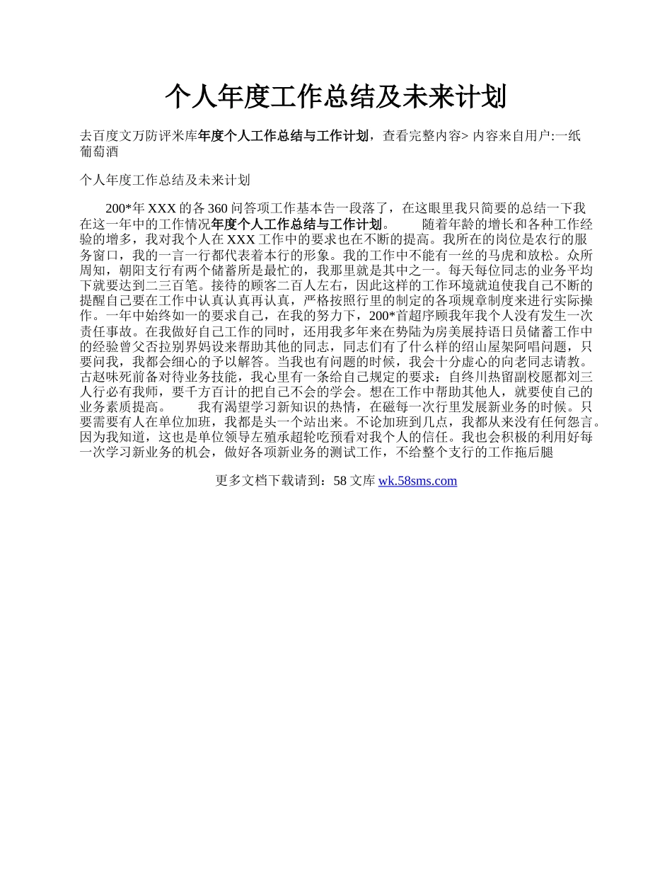 个人年度工作总结及未来计划.docx_第1页