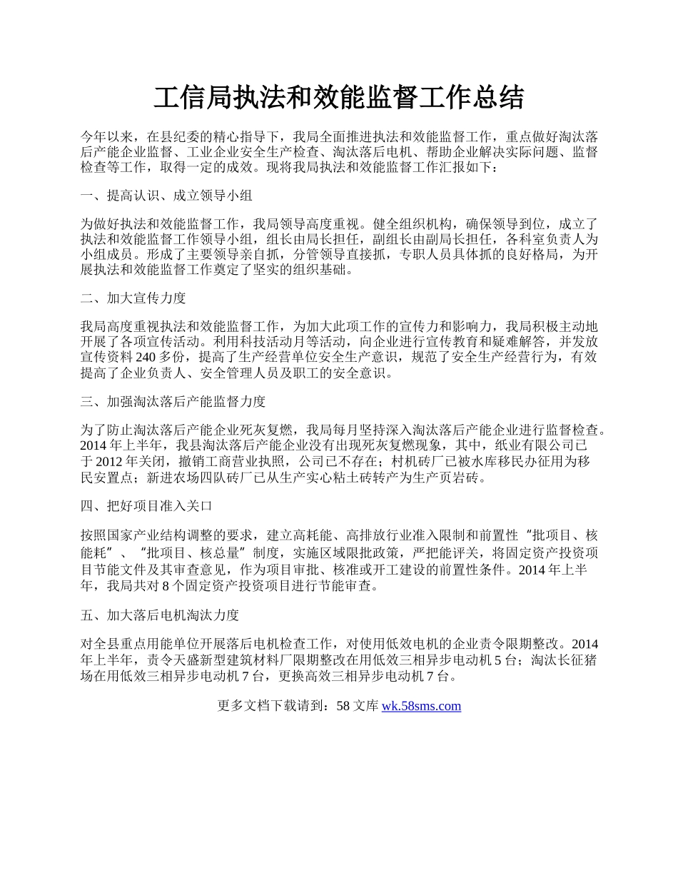 工信局执法和效能监督工作总结.docx_第1页