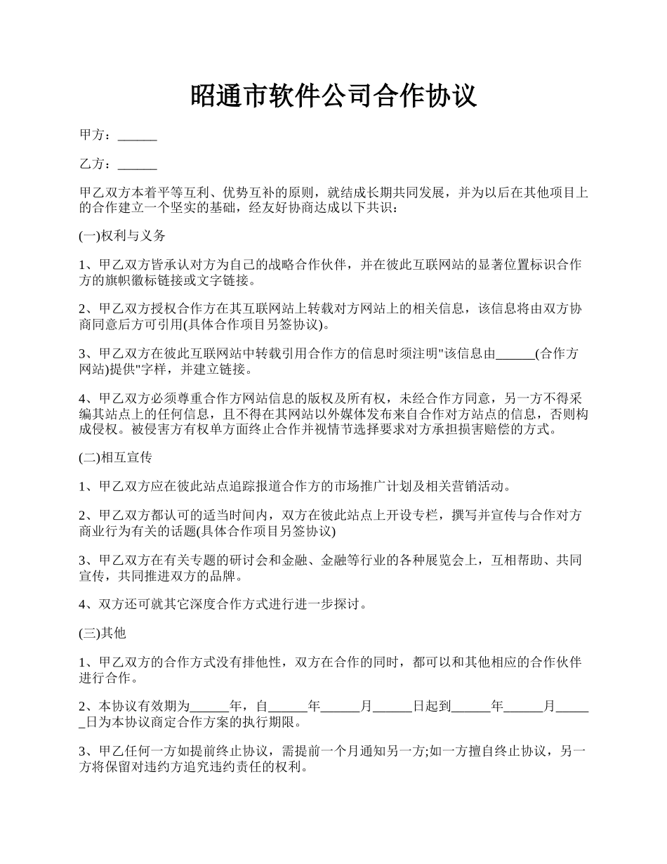 昭通市软件公司合作协议.docx_第1页