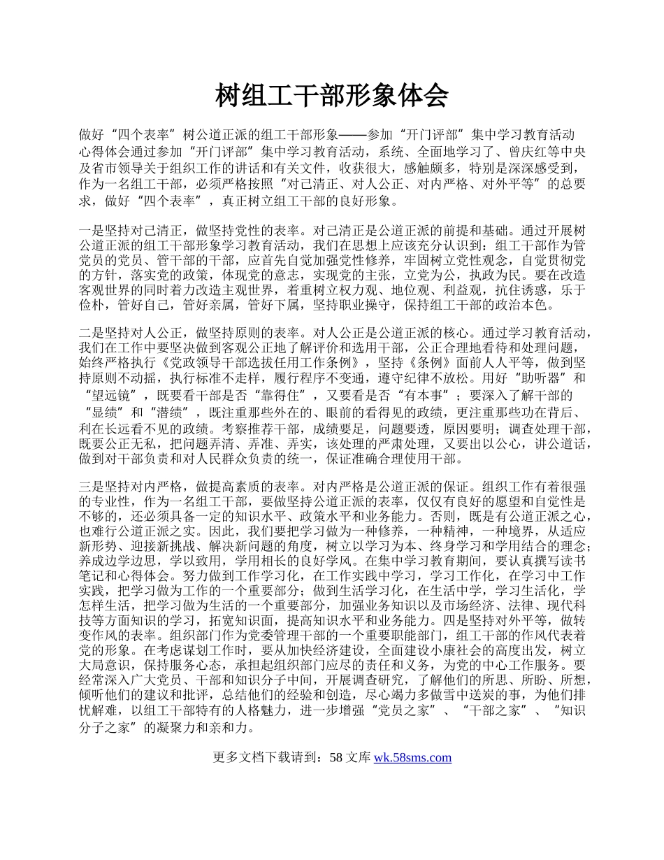 树组工干部形象体会.docx_第1页