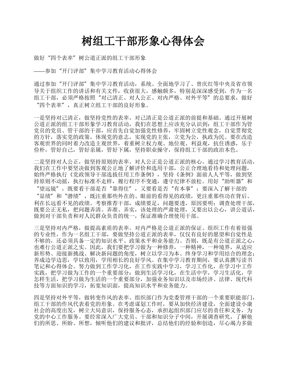 树组工干部形象心得体会.docx_第1页