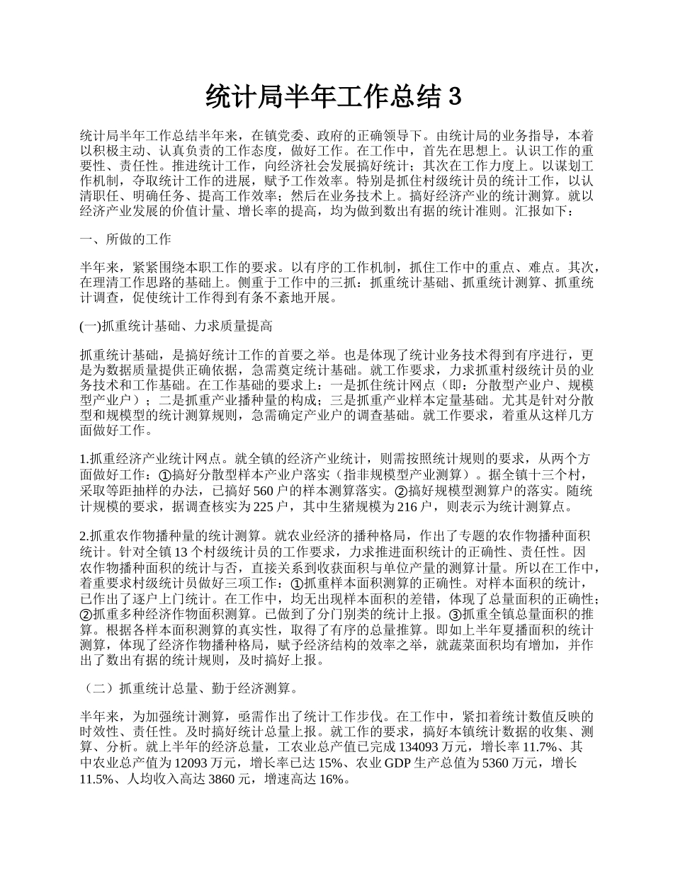 统计局半年工作总结３.docx_第1页