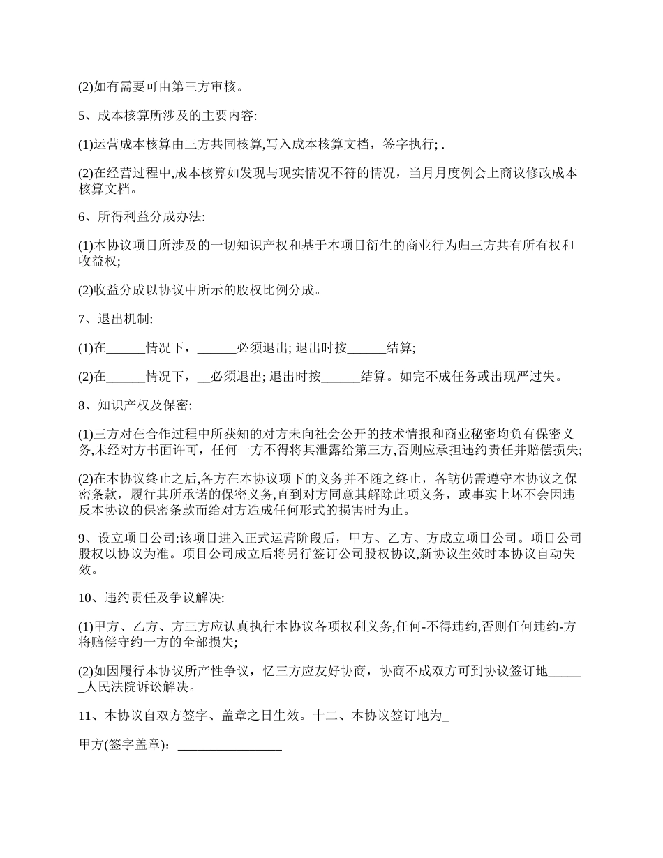 互联网项目合作协议.docx_第2页