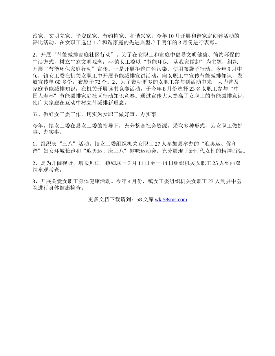 乡镇女工委工作总结.docx_第2页