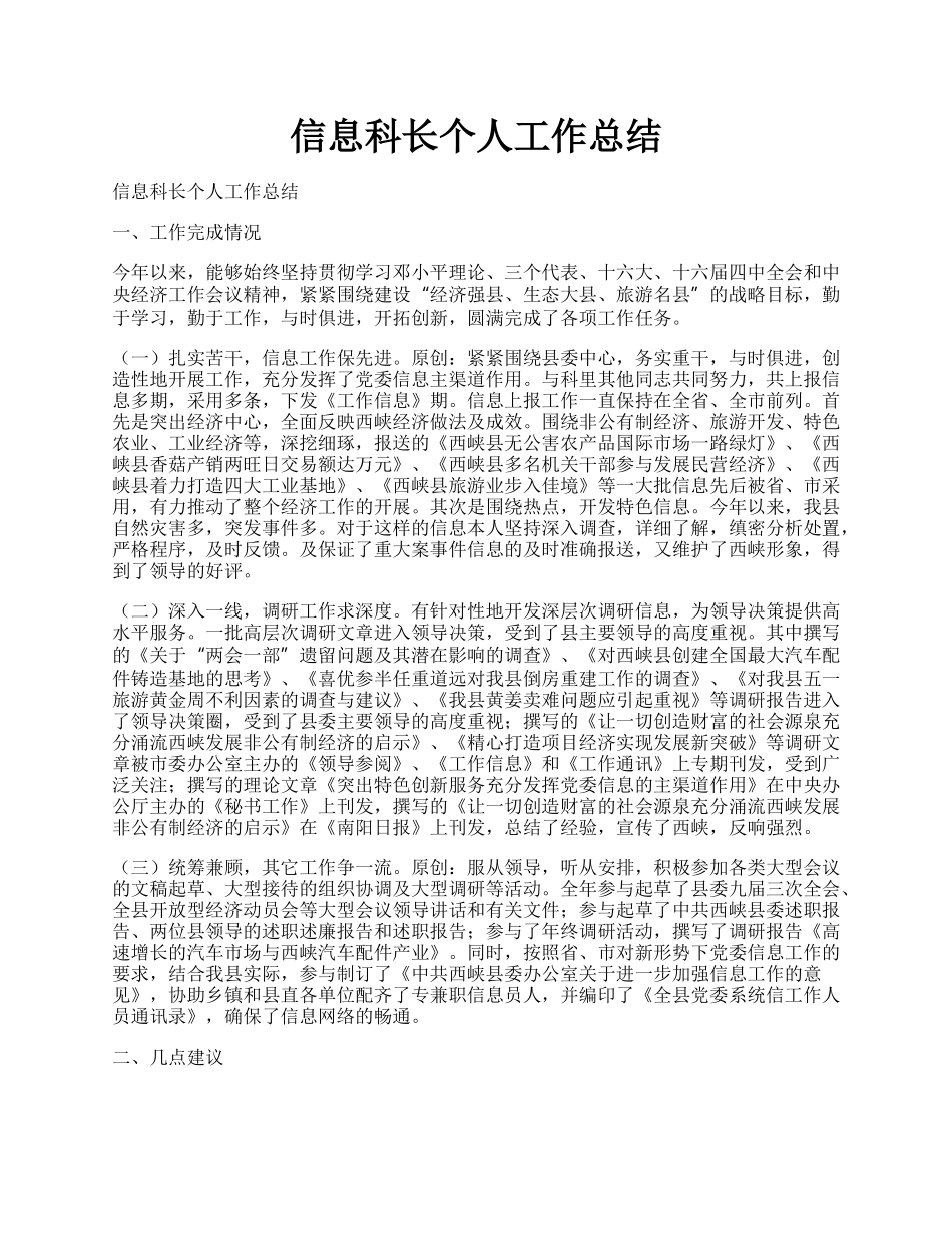 信息科长个人工作总结.docx_第1页