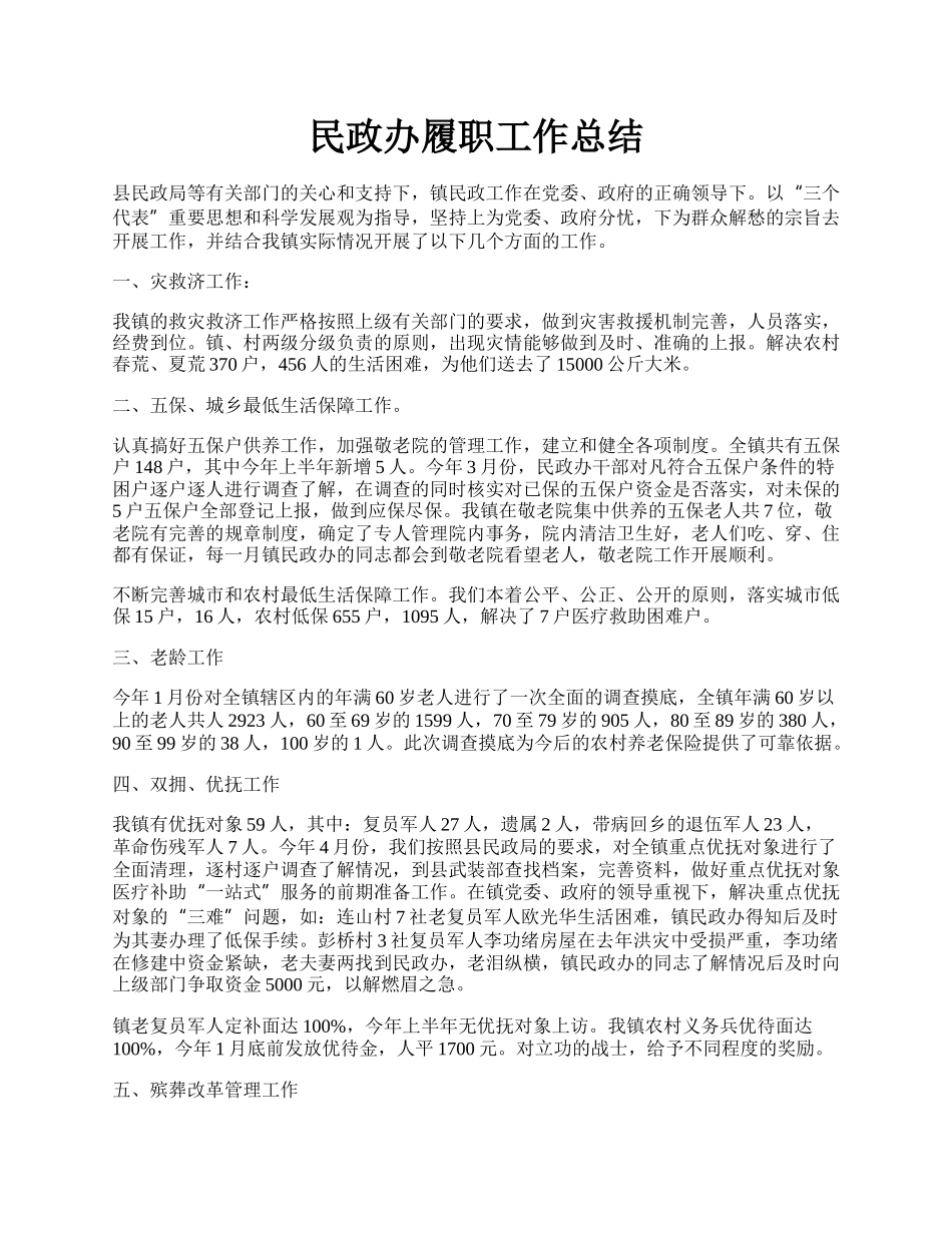 民政办履职工作总结.docx_第1页