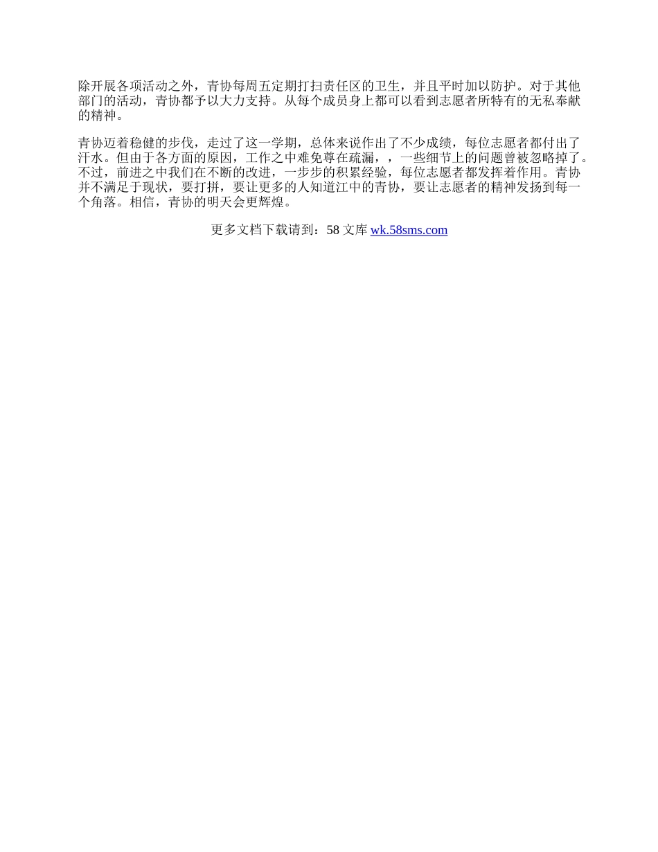 青年志愿者协会工作总结.docx_第2页