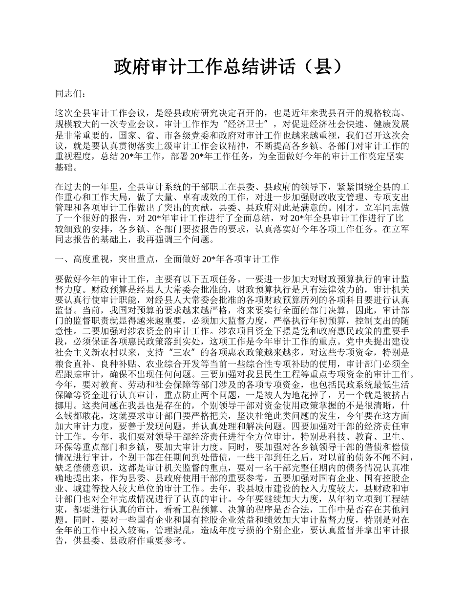 政府审计工作总结讲话（县）.docx_第1页