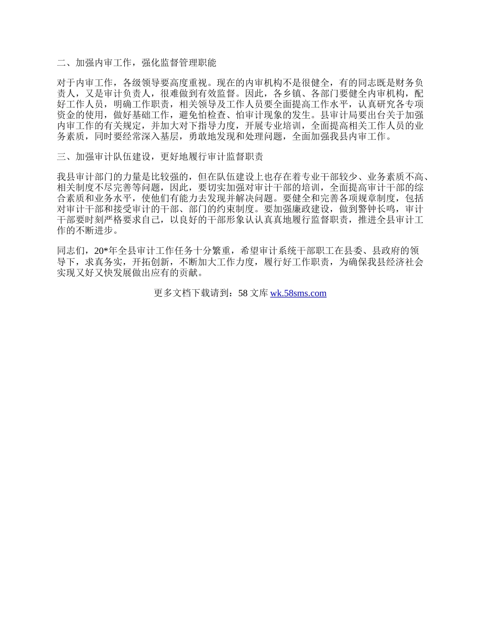 政府审计工作总结讲话（县）.docx_第2页