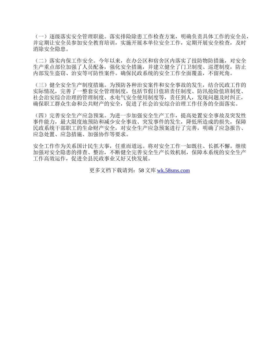 民政局排险除患工作总结.docx_第2页