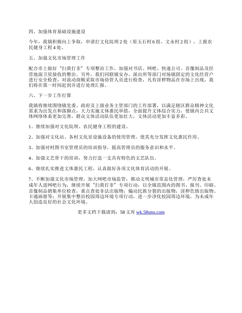 全镇文化体育广播工作总结.docx_第2页