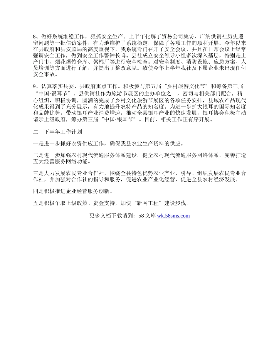 年供销社上半年工作总结.docx_第2页