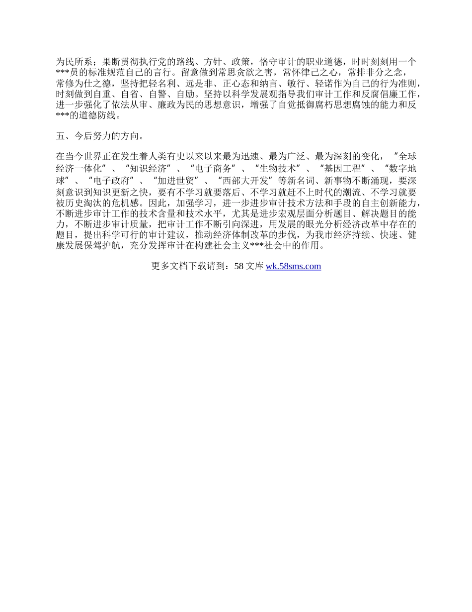 审计局职员个人工作总结.docx_第2页