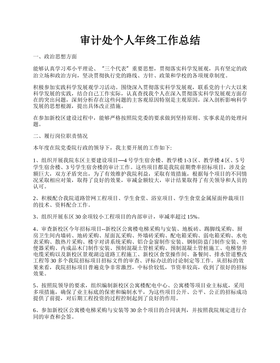 审计处个人年终工作总结.docx_第1页