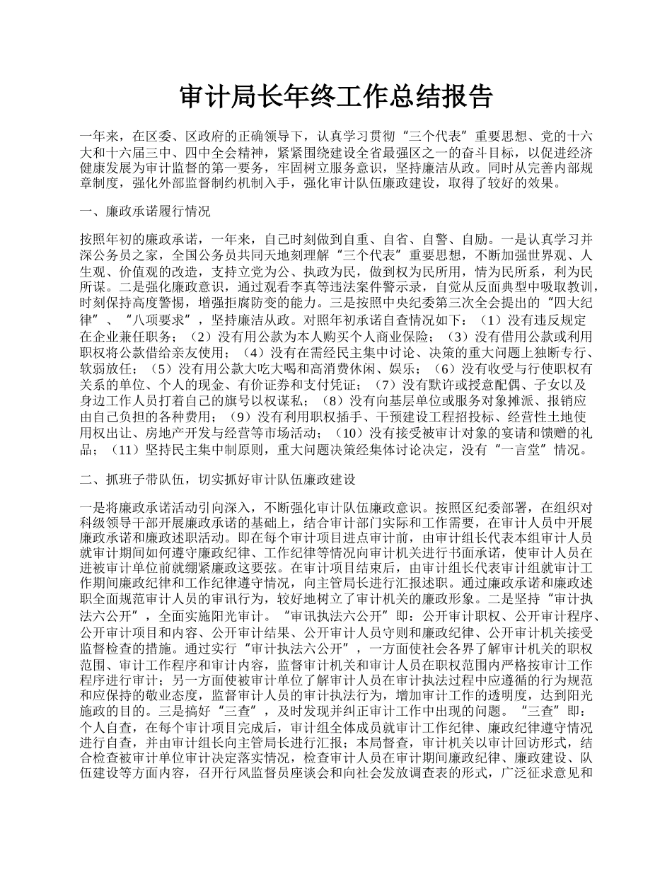 审计局长年终工作总结报告.docx_第1页