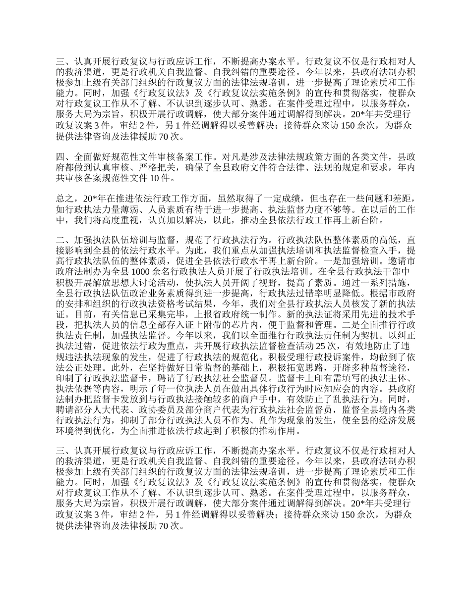 政府依法行政工作总结.docx_第2页