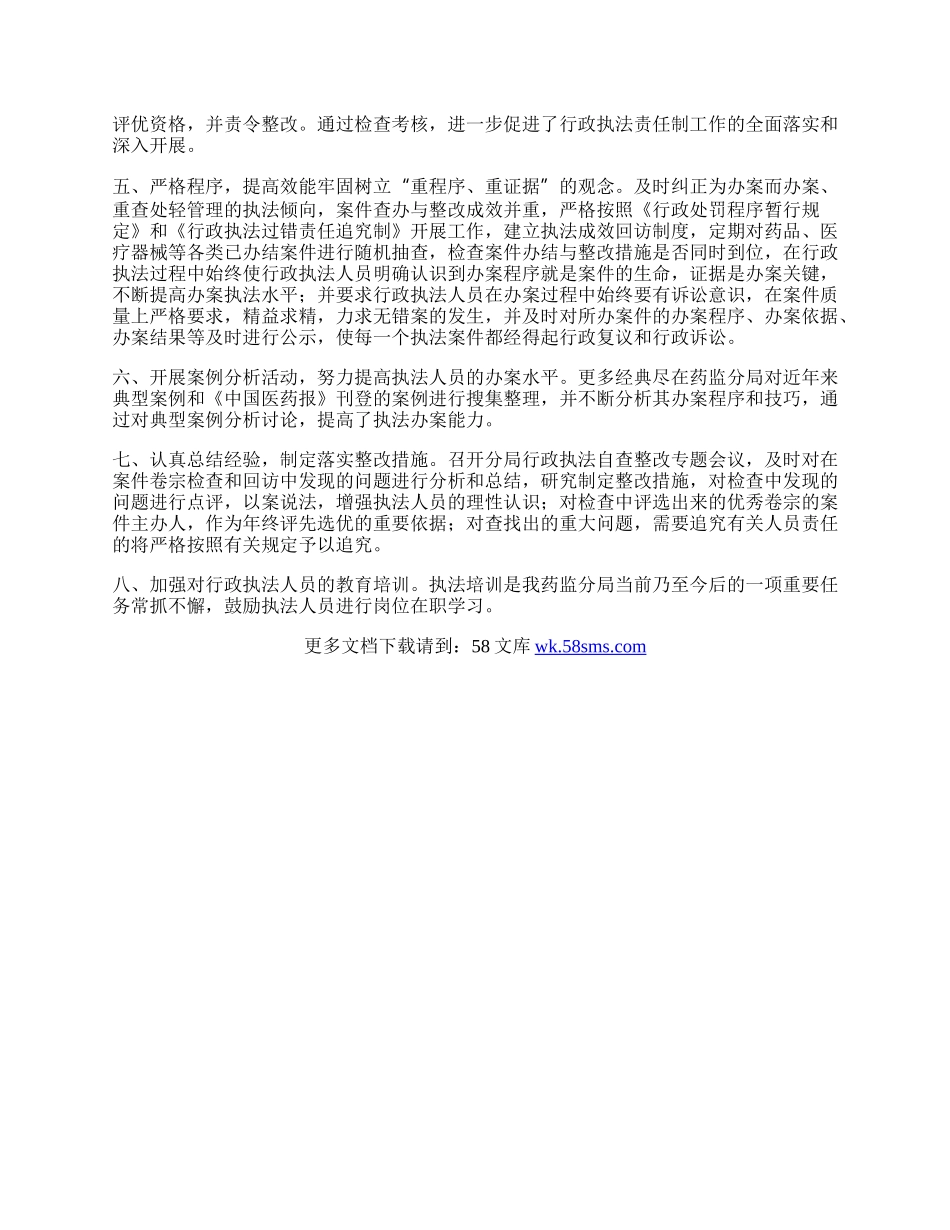 药监局行政执法工作总结.docx_第2页