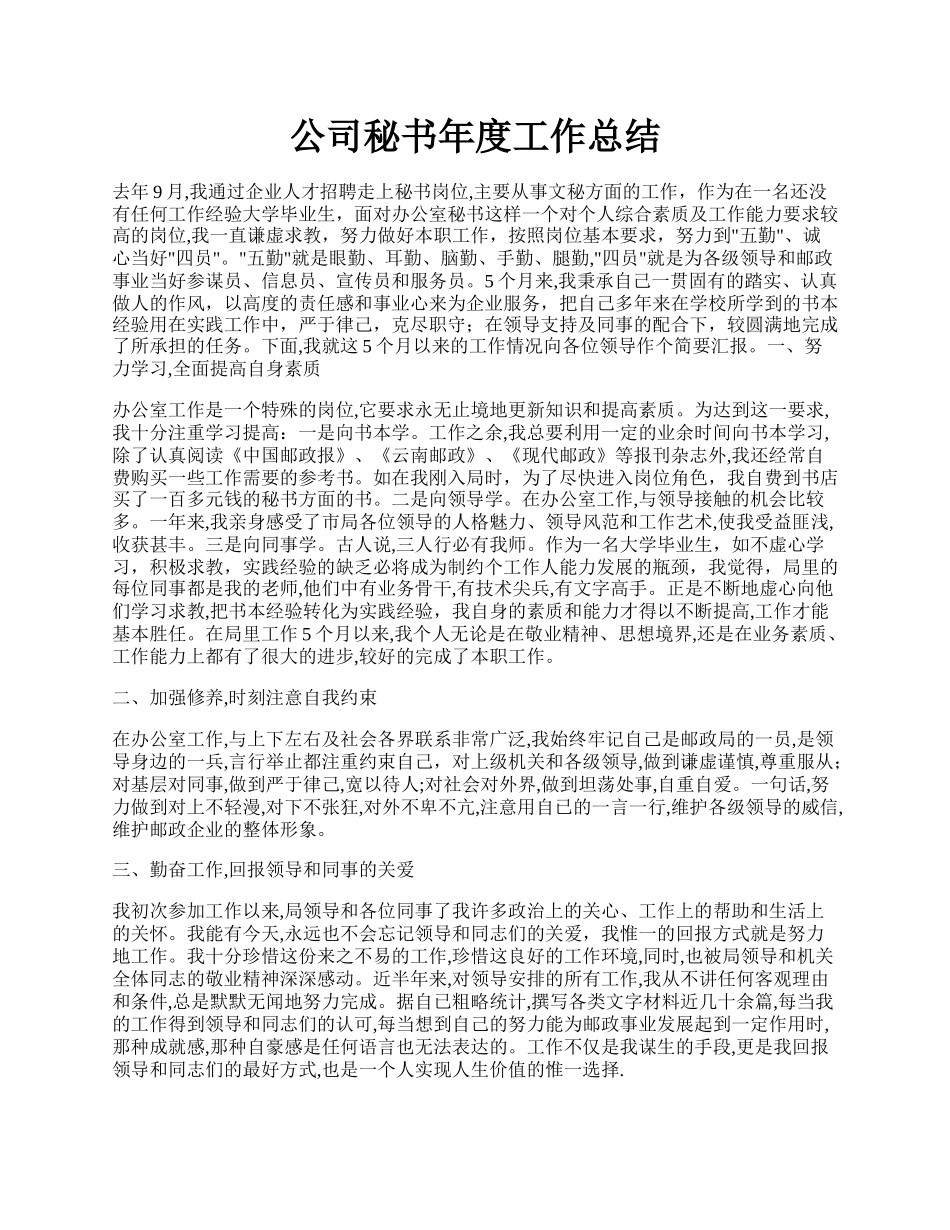 公司秘书年度工作总结.docx_第1页