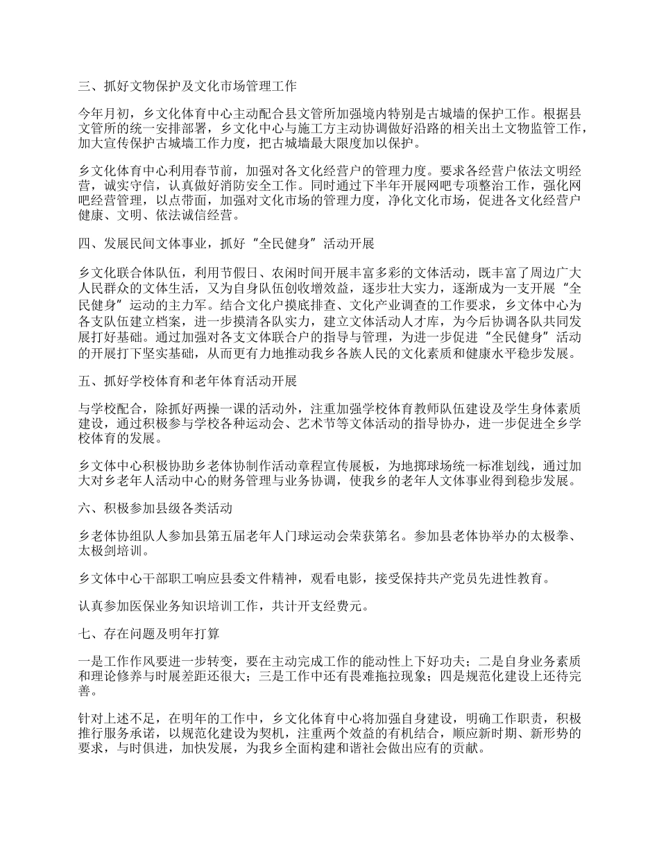 乡文化体育工作总结.docx_第2页