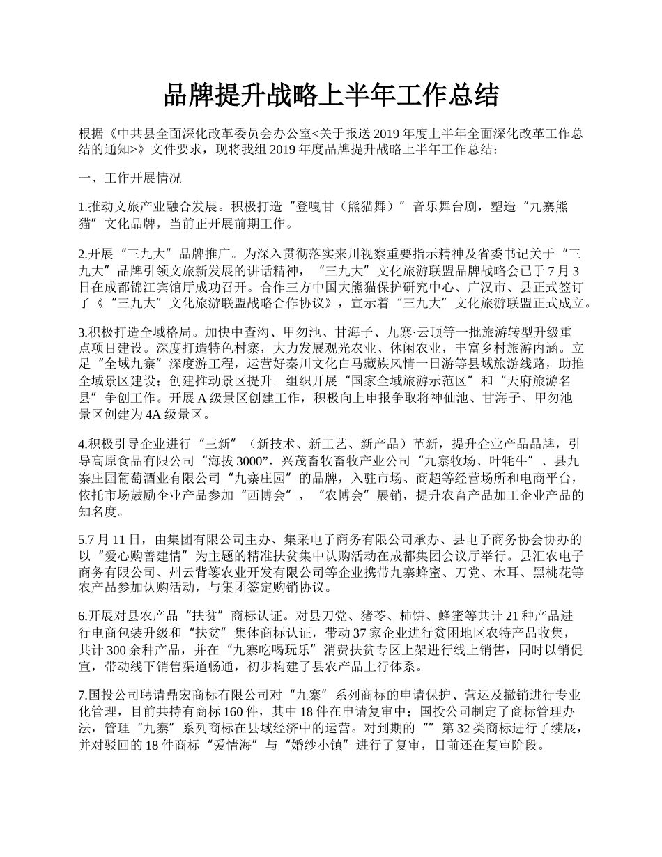 品牌提升战略上半年工作总结.docx_第1页