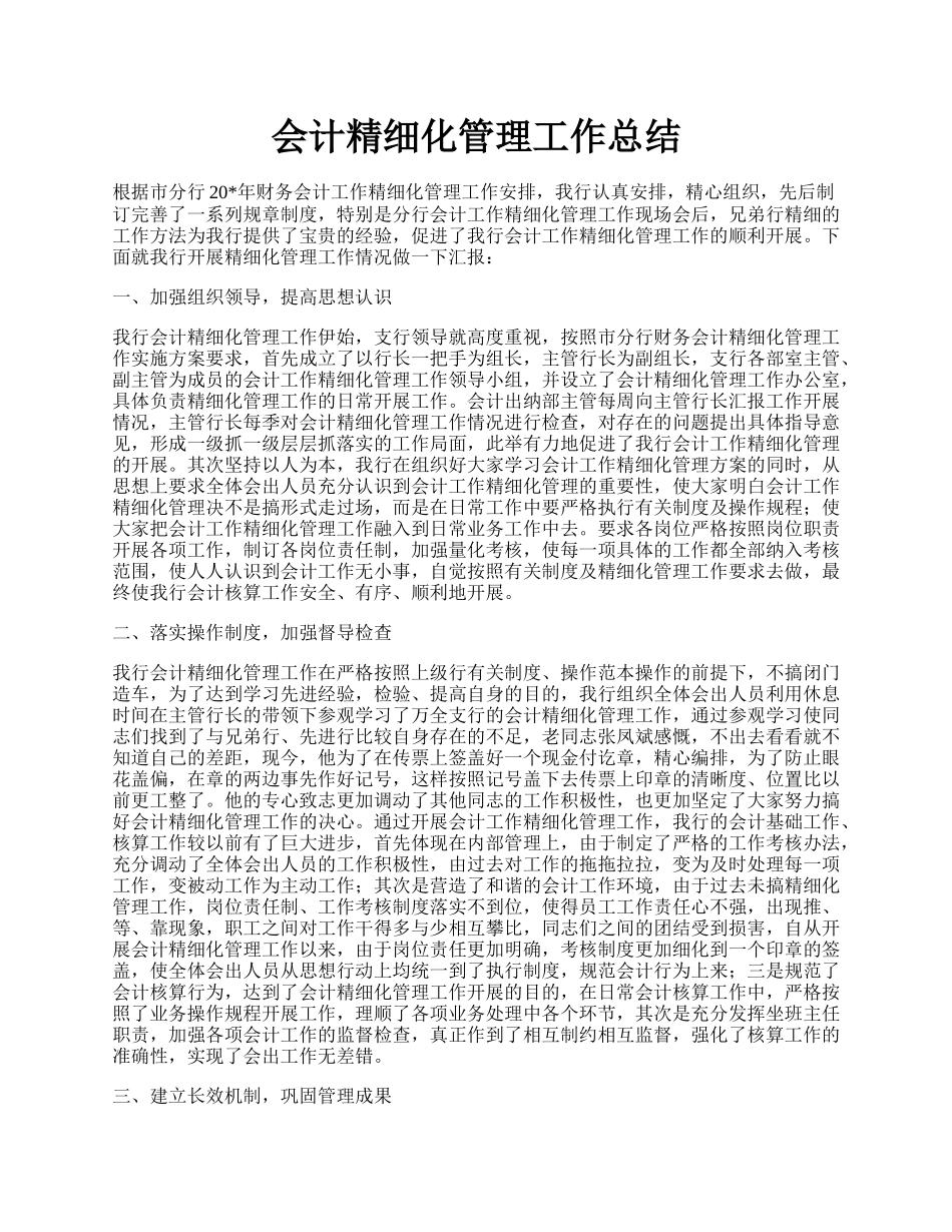 会计精细化管理工作总结.docx_第1页