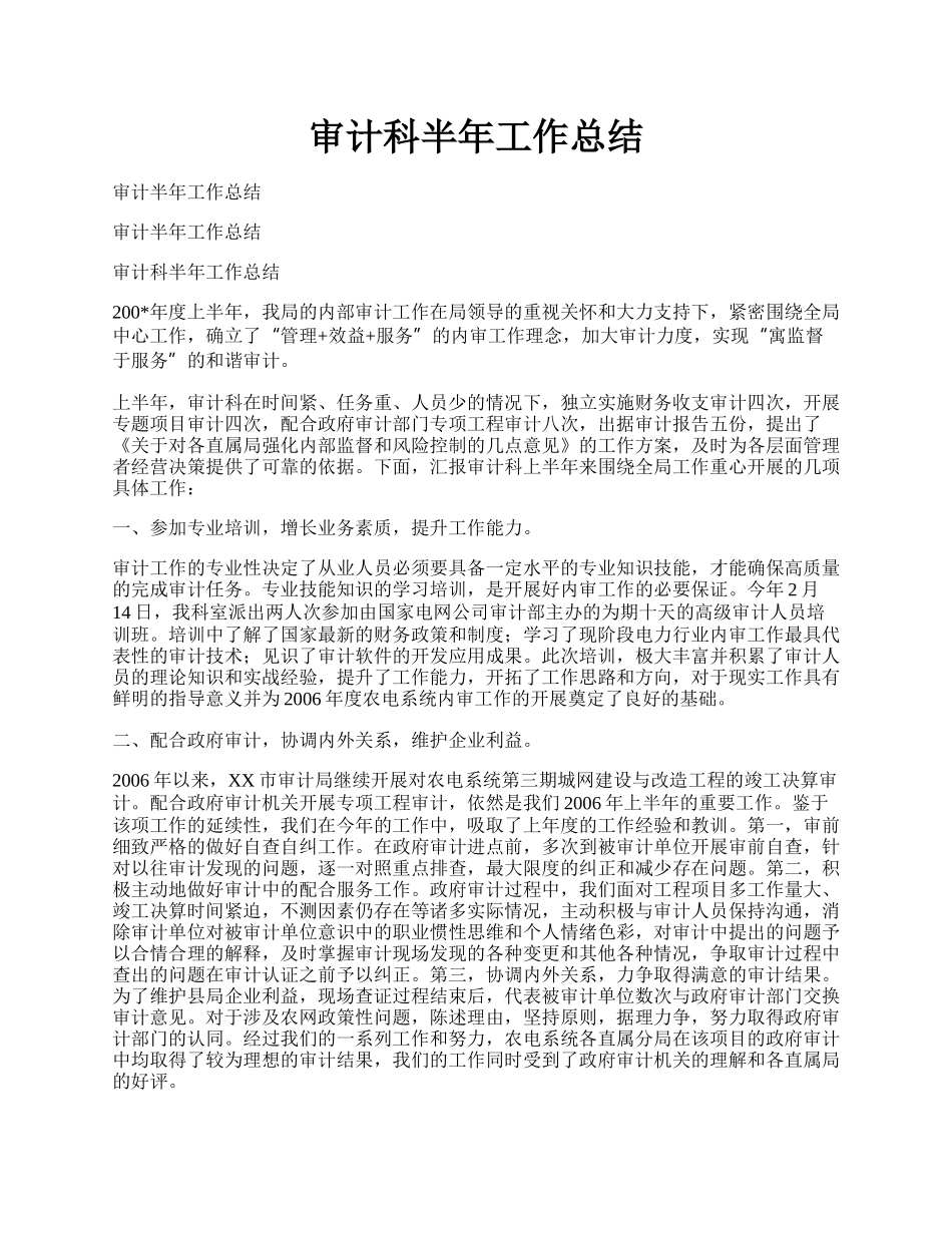 审计科半年工作总结.docx_第1页