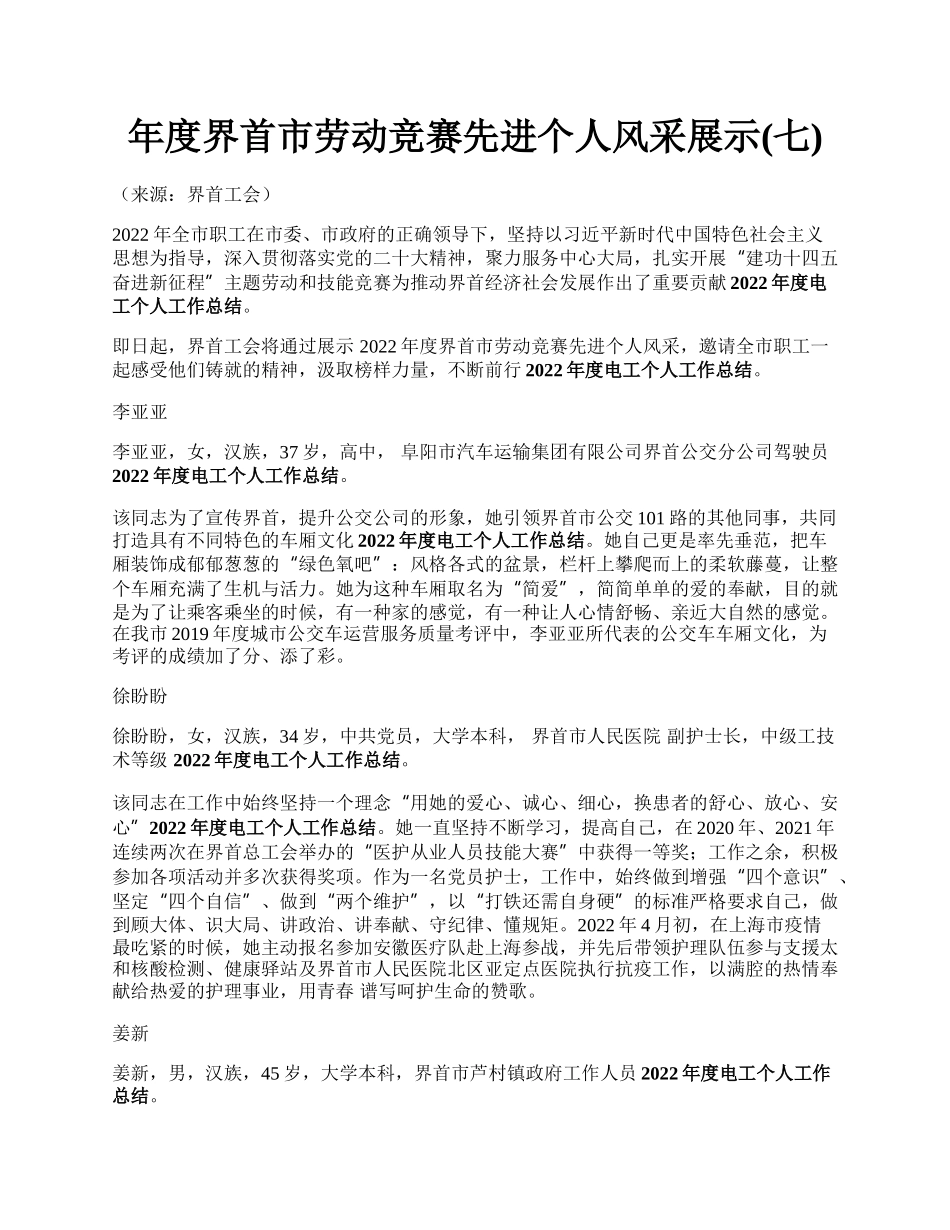 年度界首市劳动竞赛先进个人风采展示(七).docx_第1页