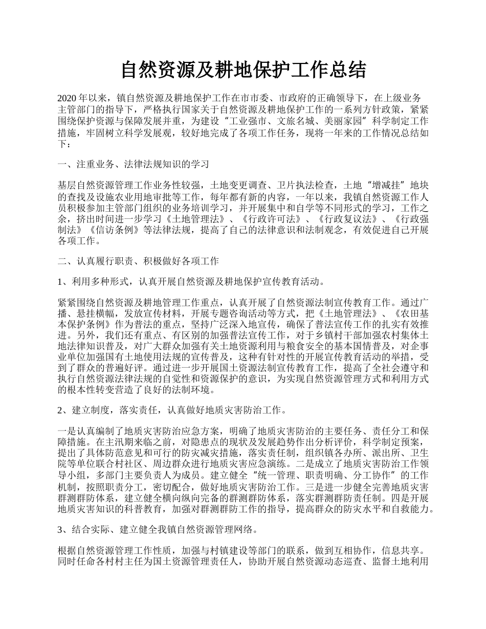 自然资源及耕地保护工作总结.docx_第1页