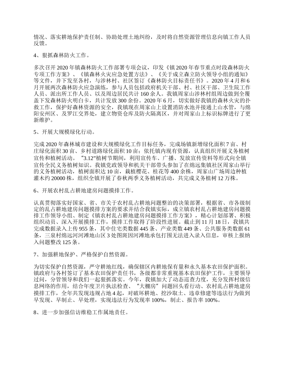 自然资源及耕地保护工作总结.docx_第2页